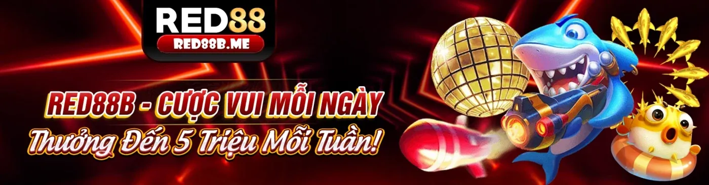 Hình ảnh minh họa chính sách cookie và bảo mật dữ liệu tại m8m8 casino