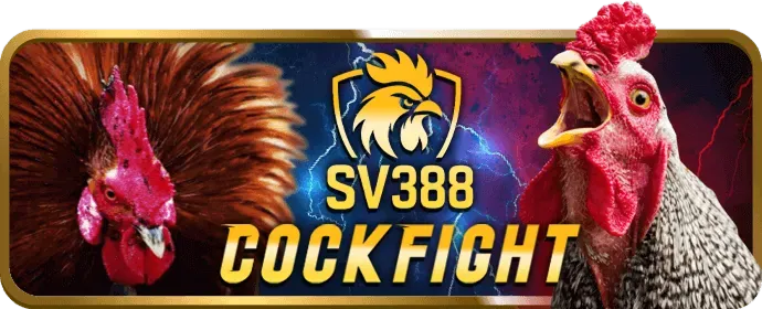 Mời tham gia các sự kiện và giải đấu VIP m8m8 casino