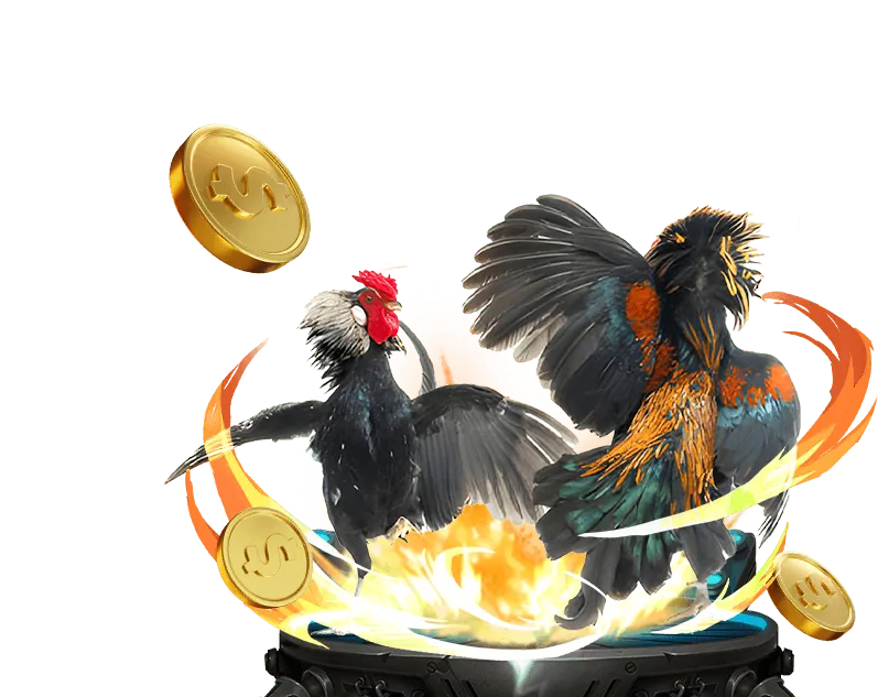 Đa dạng kèo cược đá gà tại m8m8 casino